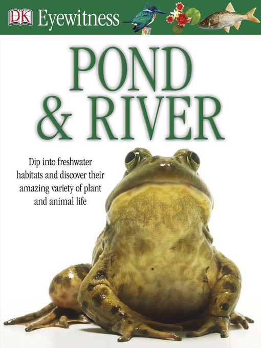 Cover image for Pond & River